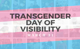International Transgender Day of Visibility sumamry image
