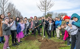 SDCC Celebrates National Tree Week sumamry image