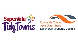 Tidy Towns Seed Funding Application sumamry image