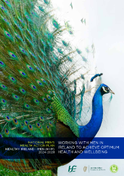 HSEnational-men-s-health-action-plan-2024-2028 summary image