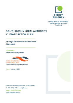 SEA Statement summary image