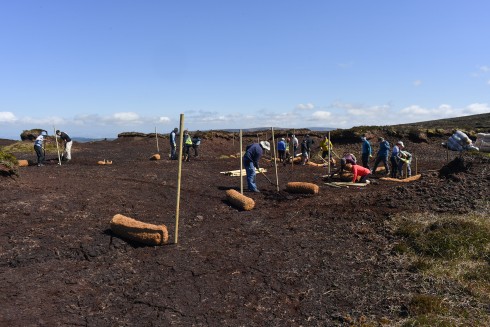 World Peatlands Day 2026 sumamry image