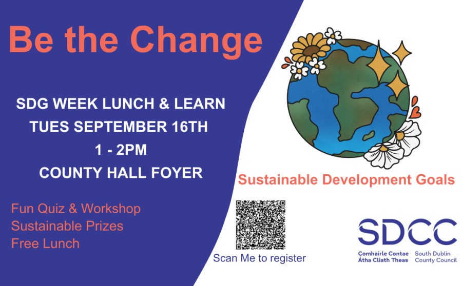 SDG Week Lunch & Learn in County Hall sumamry image