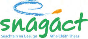 Irish for Beginners sumamry image