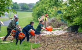 New Mini Woodland for Sean Walsh Park sumamry image