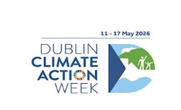 Tymon Park wetlands & flood alleviation works tour sumamry image