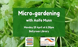 Micro-gardening with Aoife Munn sumamry image