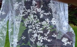 Guild of Irish Lacemakers at the Pearse Museum sumamry image