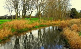 Walk and Talk on the Camac River sumamry image