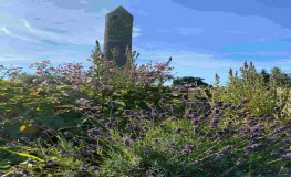 Monastic Garden Tours with Clann Chrónáin Tour Guides sumamry image