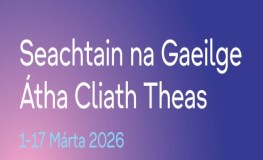 Focail Nár Chóir a Chailliúint   Words We Shouldn’t Lose   sumamry image