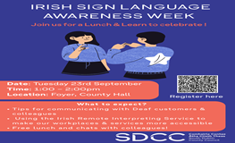 Lunch and Learn - Celebrating Irish Sign Language Awareness Week sumamry image