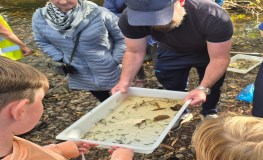 Successful Biodiversity Events sumamry image