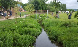Connect with nature during National Biodiversity Week 2025. sumamry image