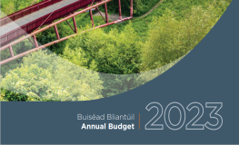 Adopted Revenue Budget 2023  sumamry image