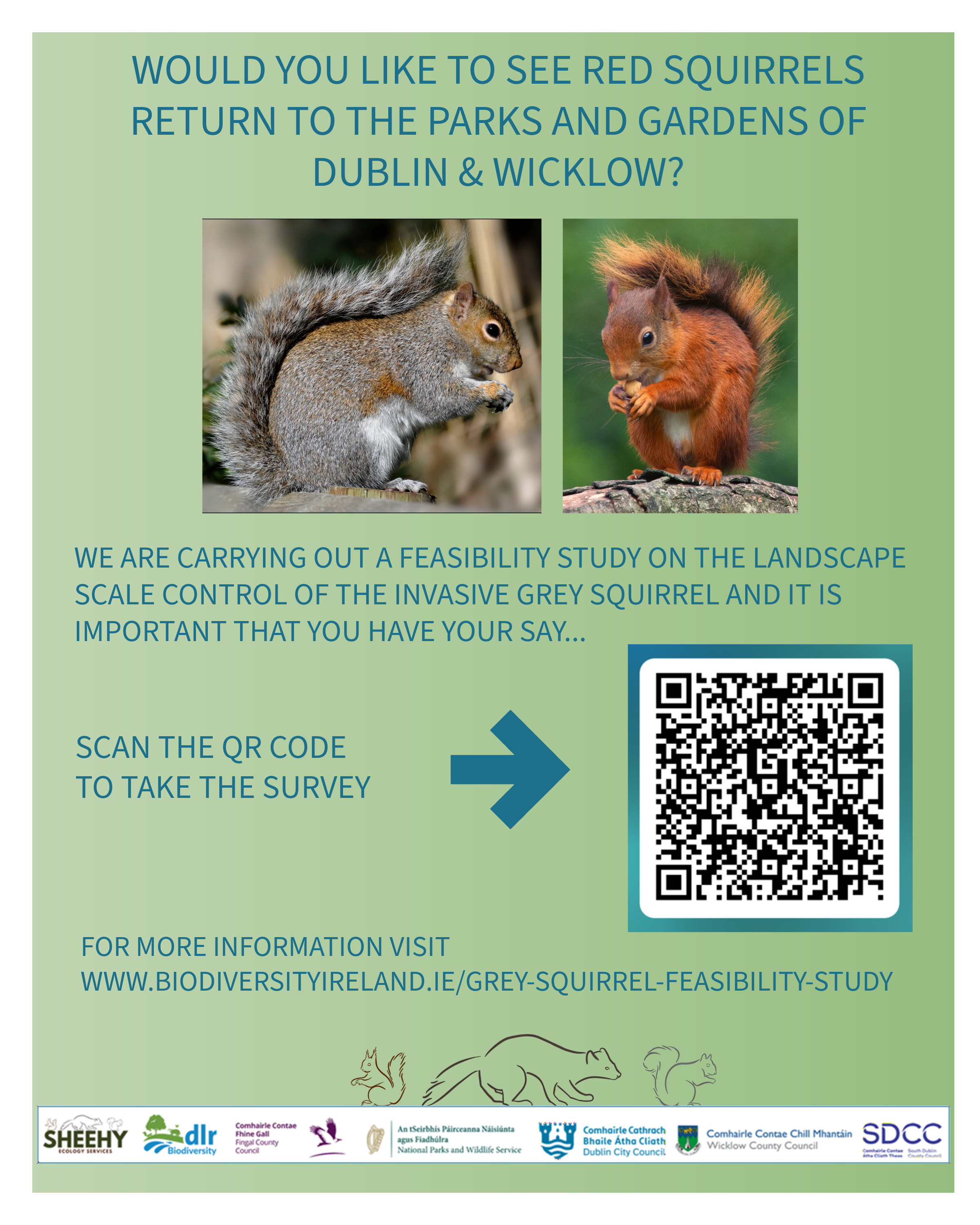 Grey-squirrel-Feasibility-Study-PNG-for-socials---English