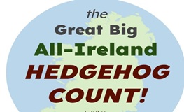 Great Big All-Ireland Hedgehog Count sumamry image