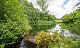 Water Conservation Order issued by Uisce Éireann to protect supplies in the county sumamry image