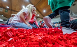 IMAGE-3---Dublin-Brick-Con---Red-lego-web