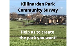 Killinarden Park survey results sumamry image
