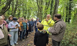 A Wonderful Day Exploring Trees & Fungi in our Green Spaces! sumamry image