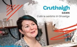 ‘Cruthaigh’ Campaign by Dublin’s Four Local Authorities sumamry image