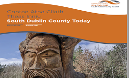 Welcome to the Summer 2021 edition of South Dublin County Today. sumamry image