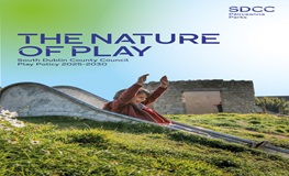 SDCC  Play Policy sumamry image