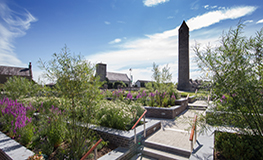 Round Tower Chosen For Dublin’s Surprising Stories Grants Scheme sumamry image