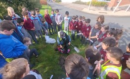 Applications Now Open For SDCCs Environmental Education Grant sumamry image