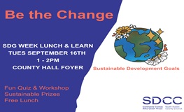 Lunch & Learn: A Workshop on the Global Goals for South Dublin sumamry image