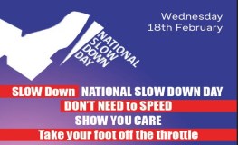 National ‘ SLOW DOWN DAY’ sumamry image