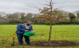 Launch of South Dublin County Council’s Tree Management Policy  – ‘Living with Trees’ 2021-2026 sumamry image