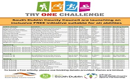 Try One Challenge  sumamry image