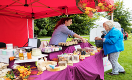 Outdoor Markets this summer in Corkagh Park and Tymon Park sumamry image