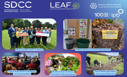 South Dublin County Community Projects awarded LEAF 2026 Funding sumamry image