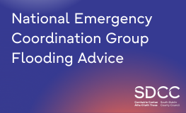 National Emergency Coordination Group Flooding Advice  sumamry image