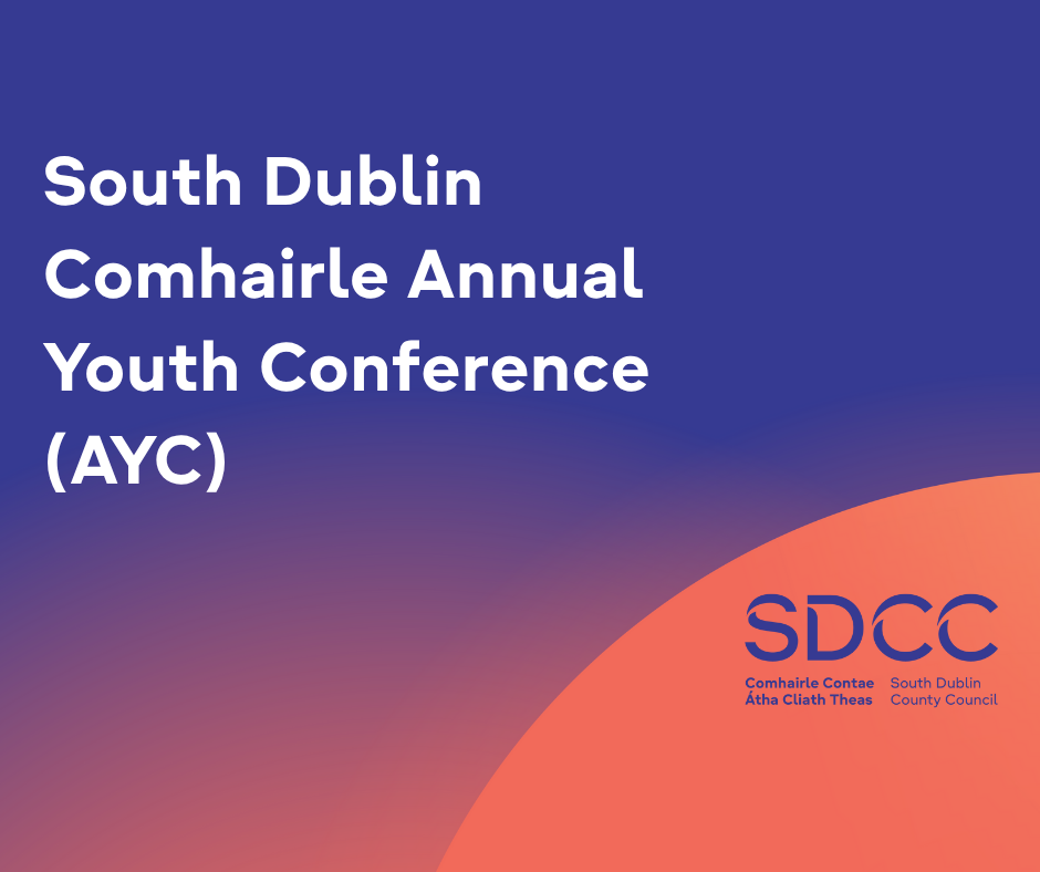 The South Dublin Comhairle Annual Youth Conference sumamry image