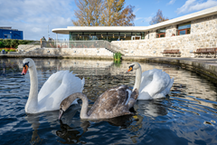 SDCC Mayor Cllr. Pamela Kearns officially opens the Tymon Park Centre sumamry image