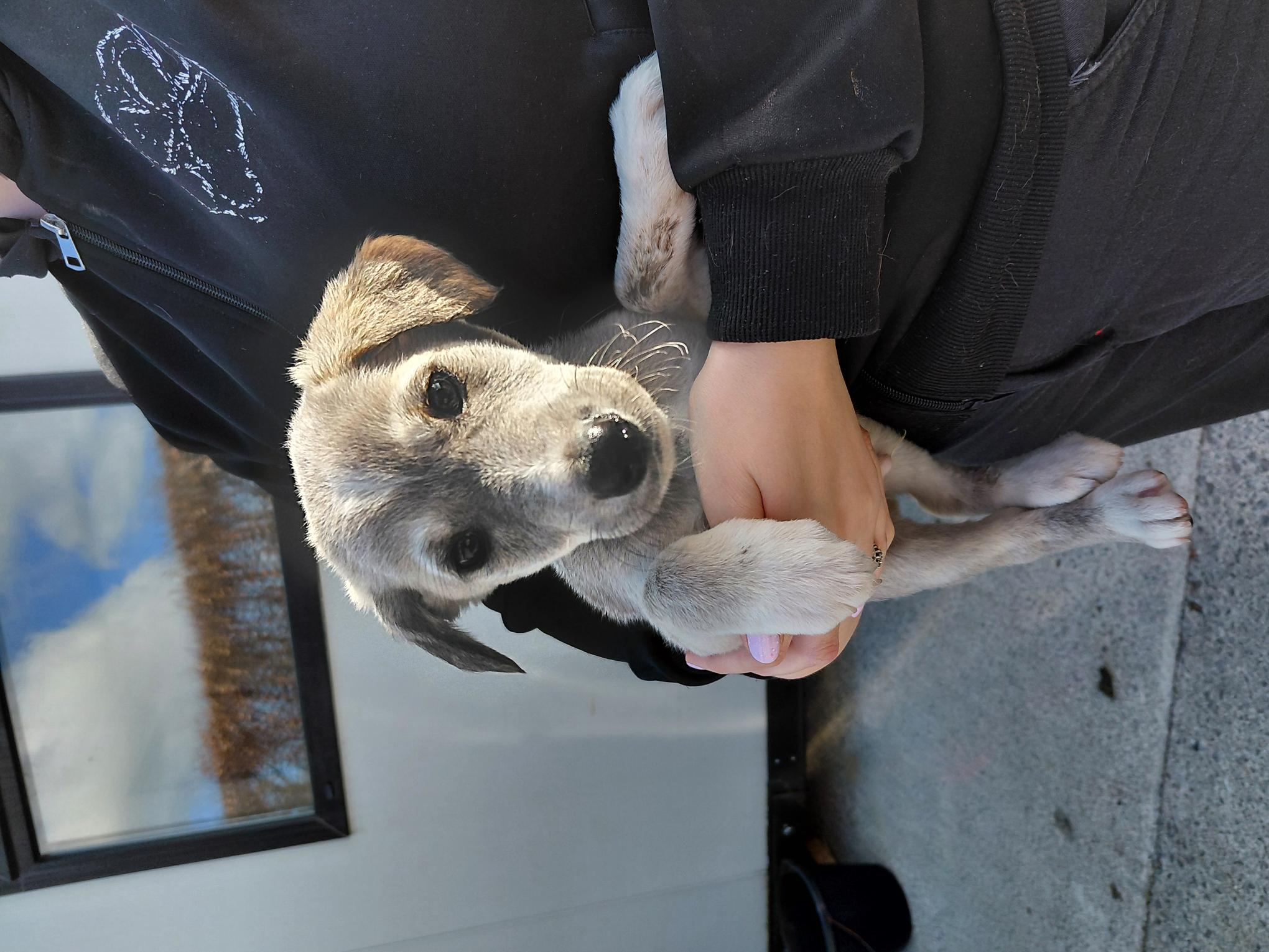 09-04-26-Stocking-Hill-Rathfarnham-Copy