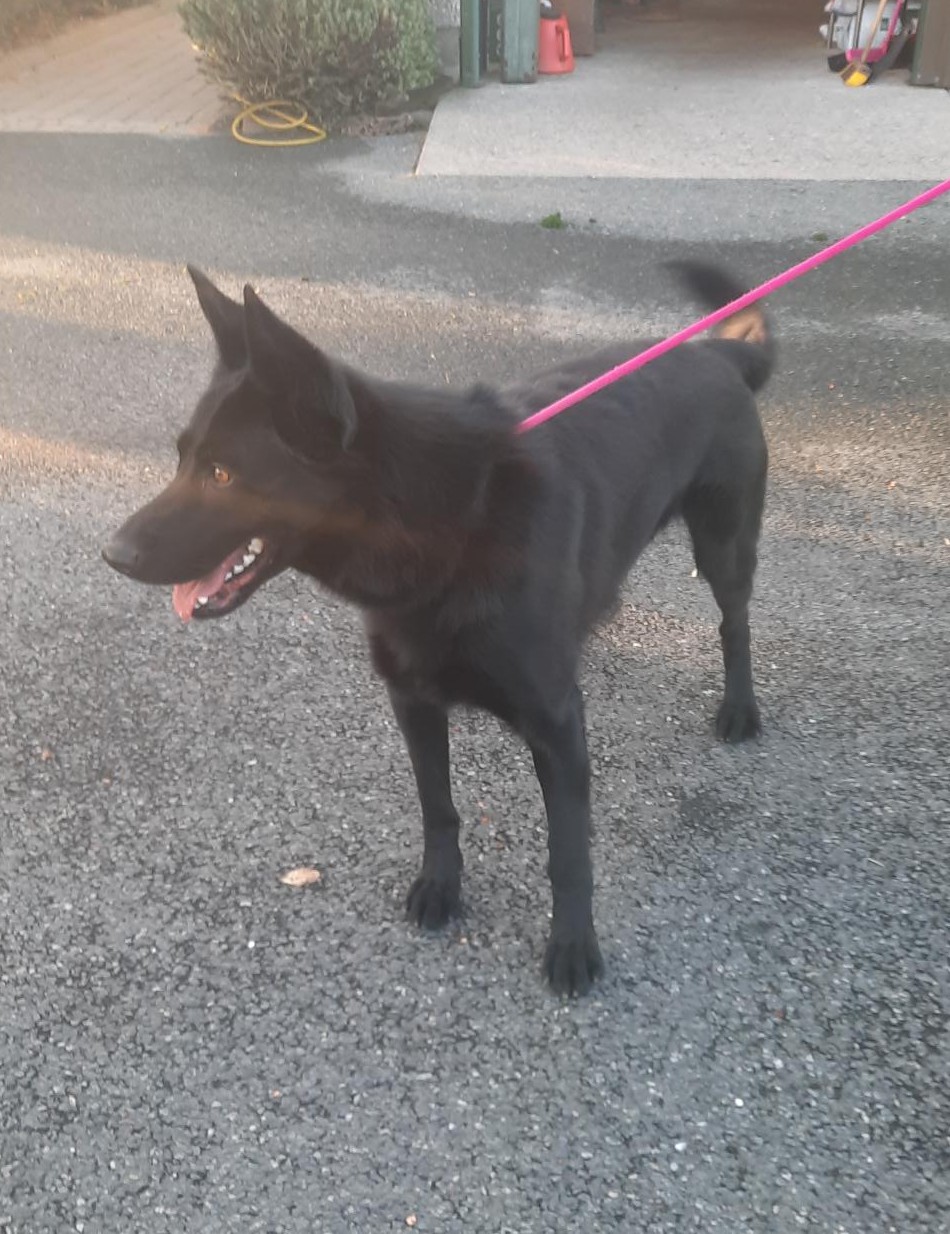 10-11-25-Tallaght-Rathfarnham