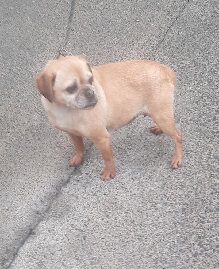 13-11-25-Rathcoole-Village