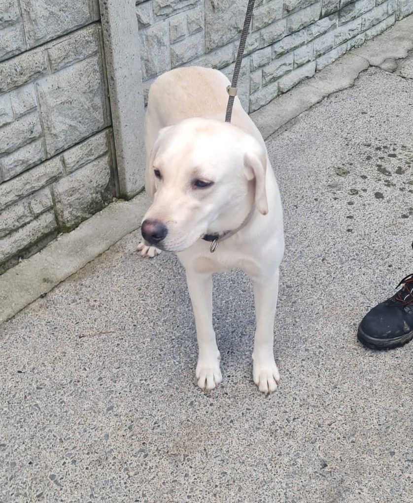 16-02-26-Corkagh-Park-Clondalkin