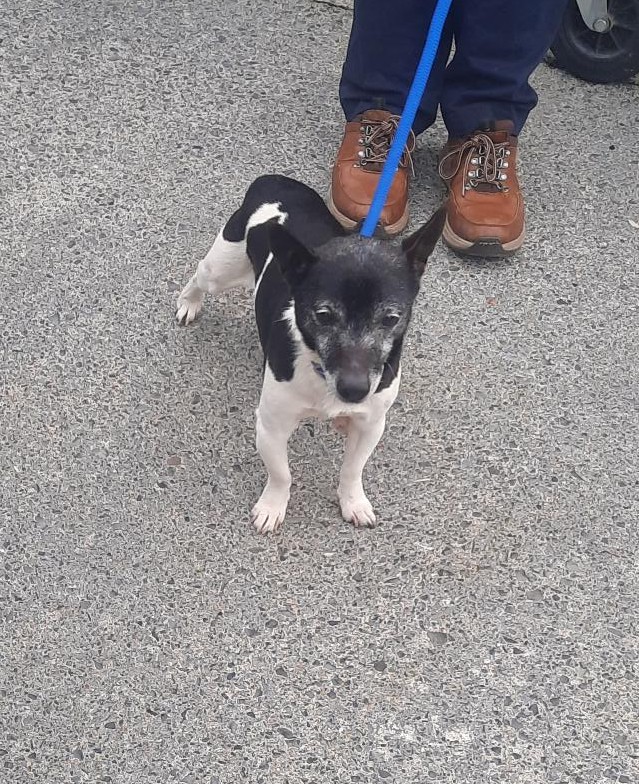 17-02-26-Saggart-Village