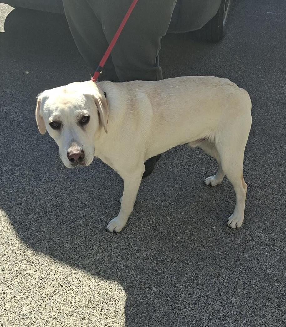 23-04-26-Barnoak-Citywest