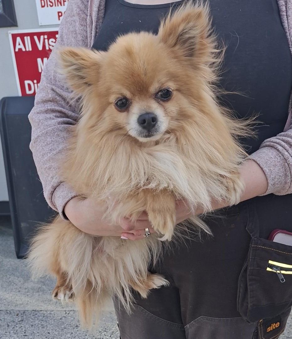 24-04-26-Tallaght-Village