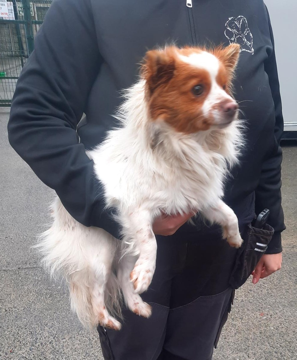 26-01-26-Allenton-Surrender-