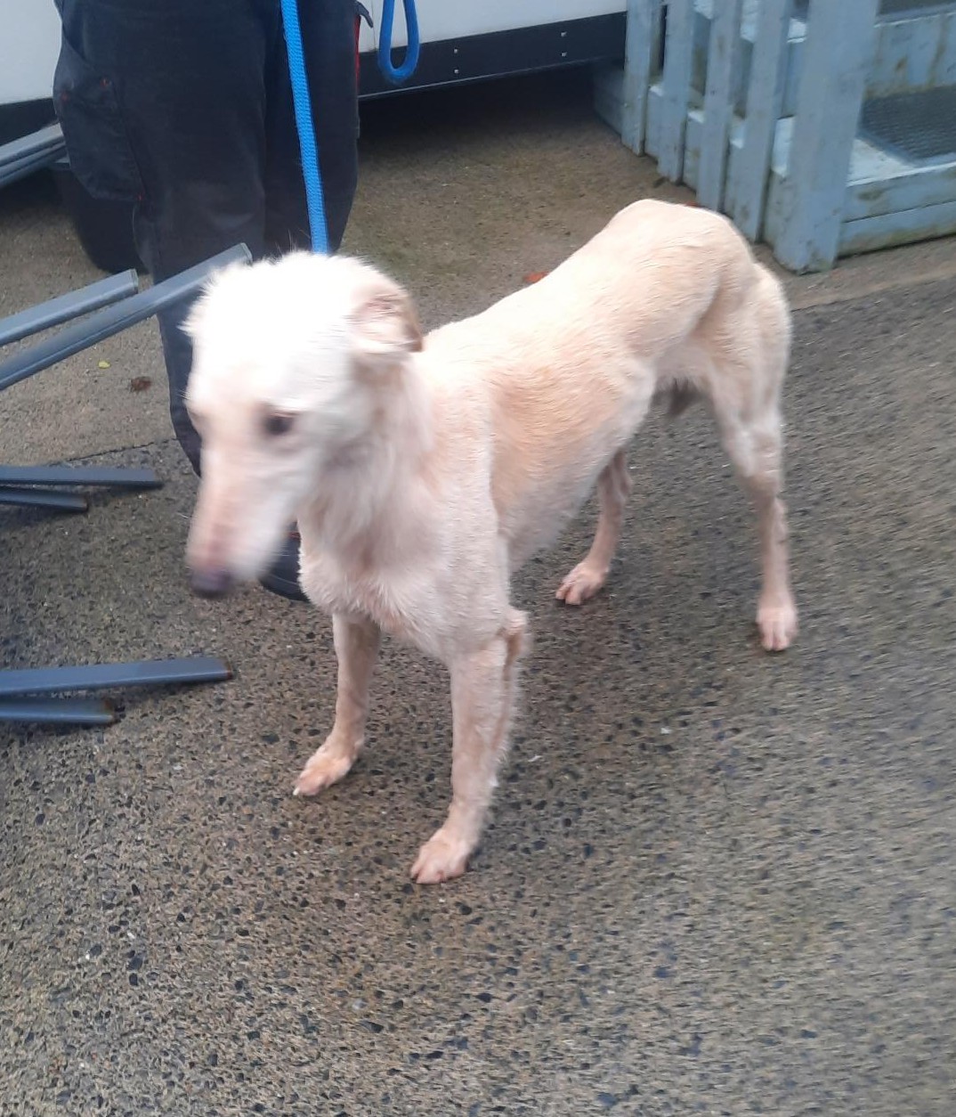 27-01-26-Kilakee-Rathfarnham-2