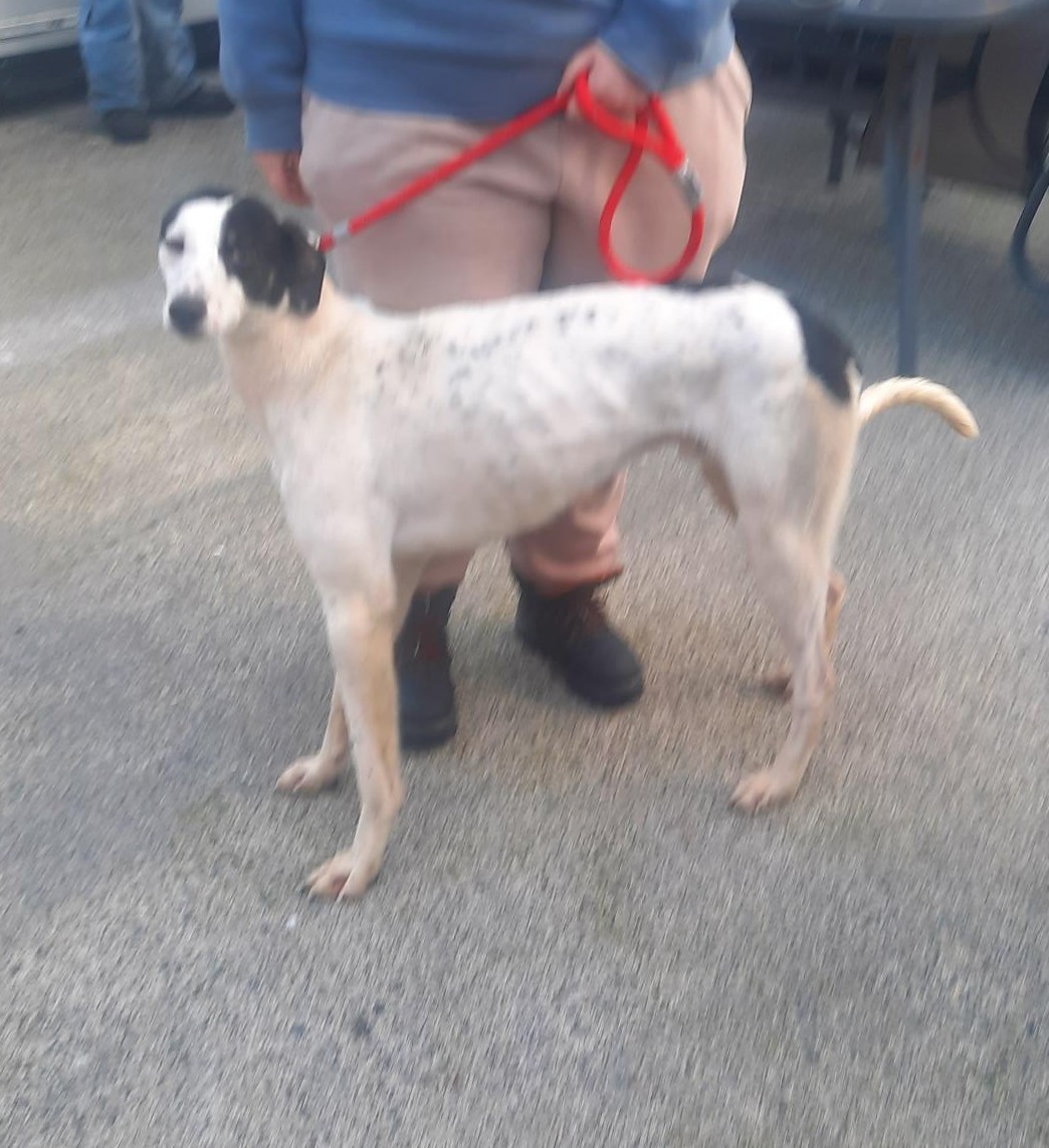 28-01-26-Fourtunestown-Lane-Saggart