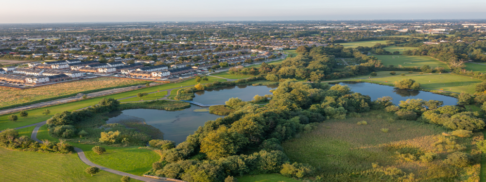 South Dublin Climate Action 